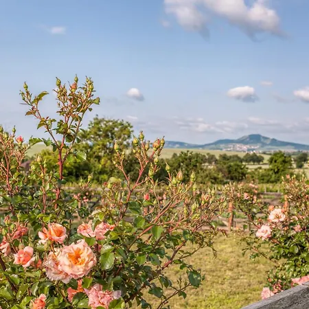 Maison d'hôtes Pod Palavou