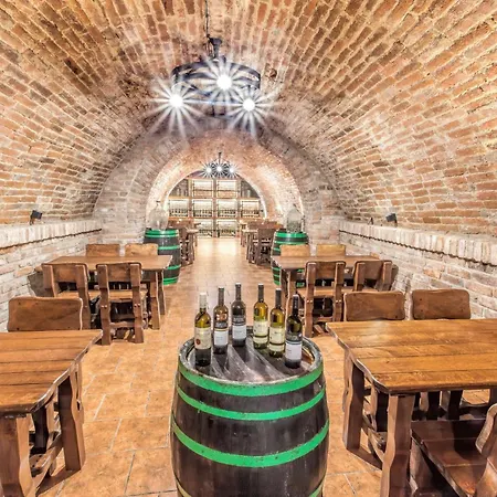 Pod Palavou Maison d'hôtes Starovicky