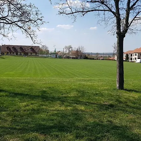 Maison d'hôtes Pod Palavou Starovicky